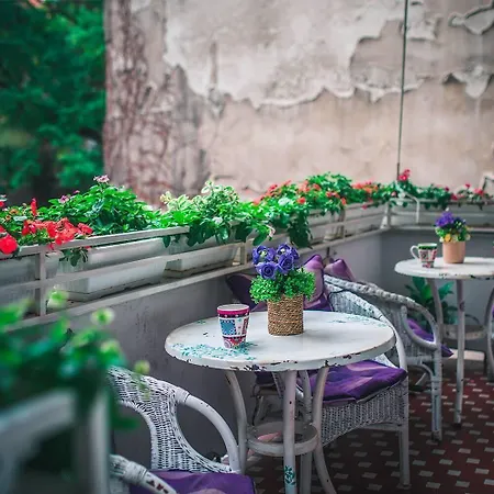 Beogradjanka * Belgrade